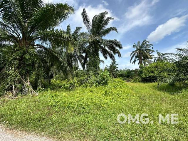 4.34 acres Sijangkang Agriculture land Kuala Langat for Sale 🌱🌱 1