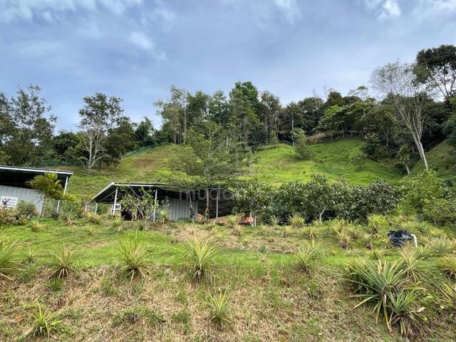 For SALE I NT Land I Kg Kolopis I Penampang I Sabah 2