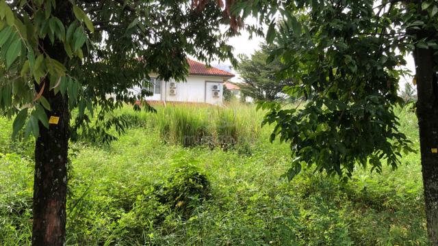 Lot Banglo For Sale 1