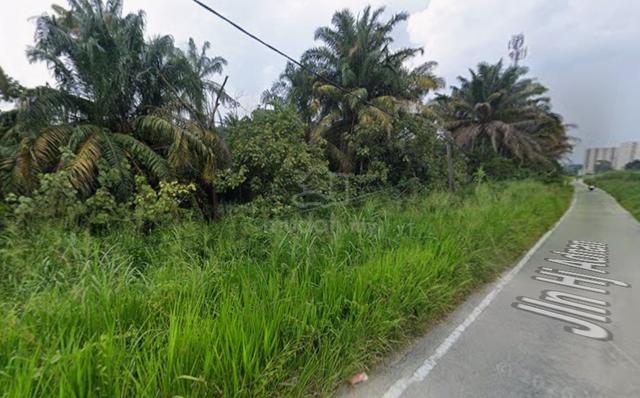 Tanah Pertanian Tepi Sungai Chincang, Salak 1