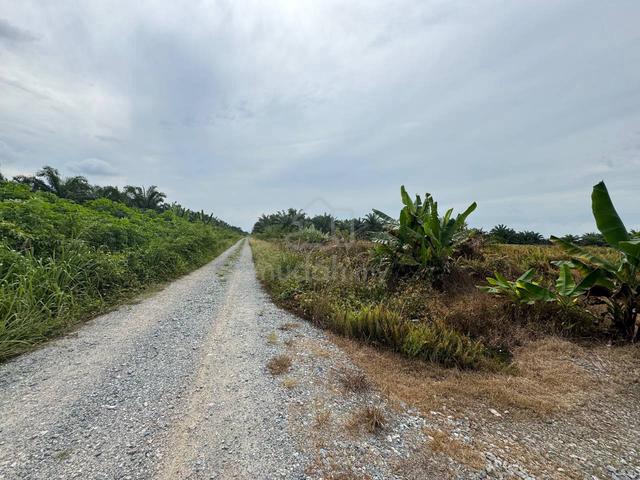 3 EKAR : TANAH PERTANIAN AYER BALOI (Tanaman Sawit) 2