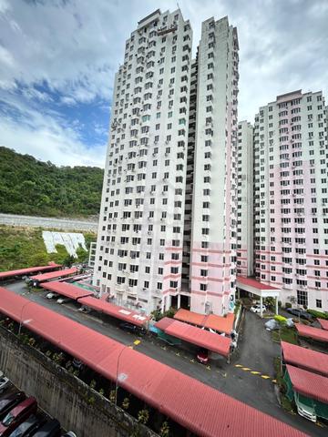 Greenlane Heights 1