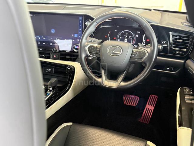 2023 Lexus NX250 VERSION L HUD BSM WHITE/BLACK INT - 5
