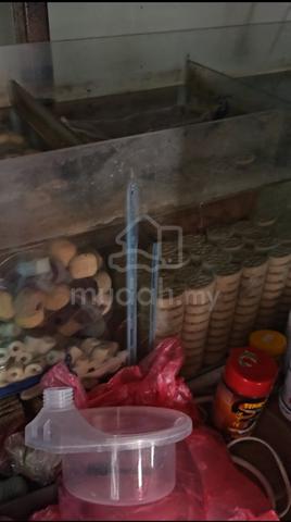6 feet Aquarium with sumptank - photo 3 of 4