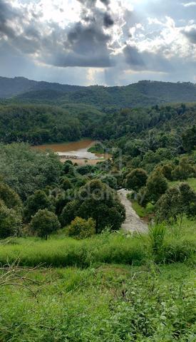1st Lot (Durian Farm) At Taman Kuala Kangsar With Tar Road Access 1