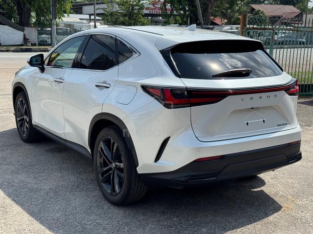 2023 Lexus NX250 2.5 VERSION L (A)SR, Blk+Wht Seat - 5