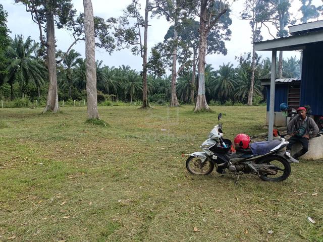 dusun durian kampung gajah 1