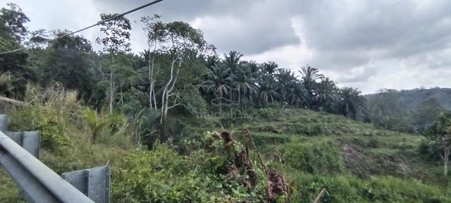 20.8 ekar Tanah Pertanian 1