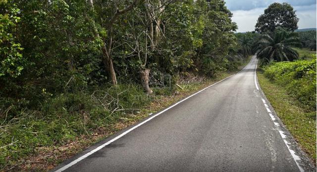 Pengerang land Road side 1