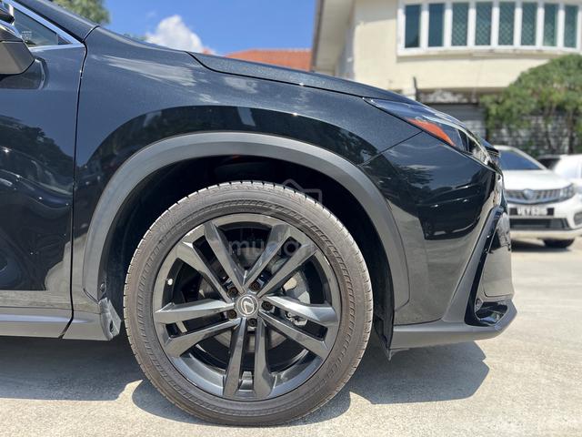 LIMITED OFFER 2022 Lexus NX250 2.5 MARK LEVINSON - 5
