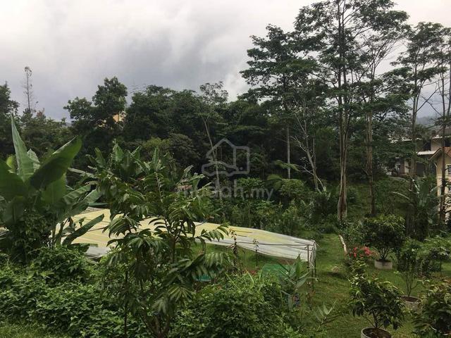 Taman Bukit Rimba, Jalan Rimba 2/2, Pahang 1