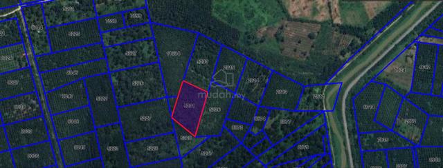 Tanah Untuk Dijual [Mukim Pulau Tiga, Kampung Gajah] 1