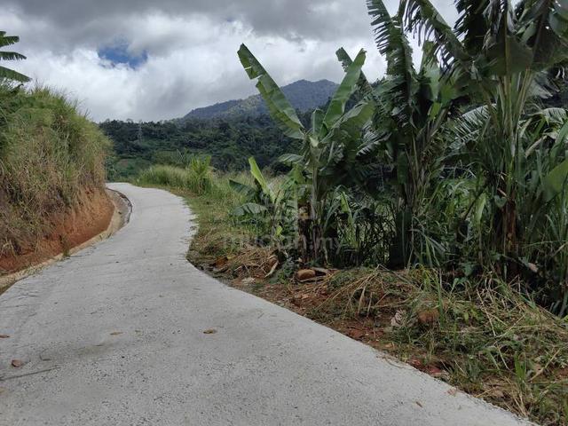 2.25 Acre Agriculture Vege Farm Bukit Tinggi Janda Baik Bentong 1