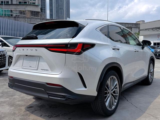 2023 Lexus NX250 2.5 LUXURY (A) FULL SPEC - 2