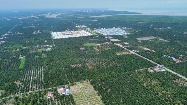 DEVELOPMENT LAND 48.35 acres🔥 | Kampung Sungai Yu, Kuala Selangor 1