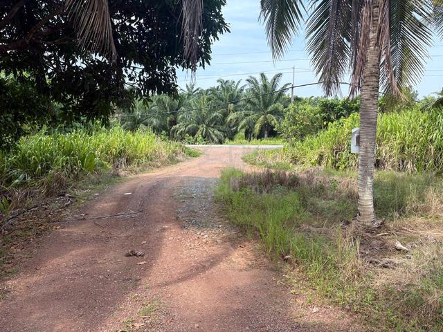 Sabah Kudat Agricultural Freehold Land For Sale 1
