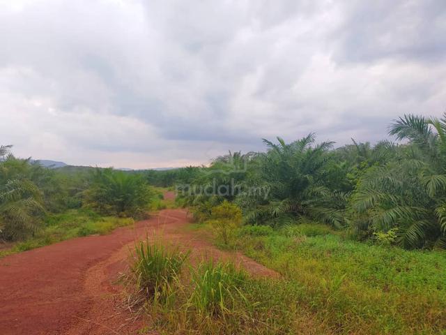 JERANTUT - Solar Farm 1