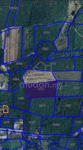 Tanah Pokok Sawit 7 Relong 5 Ekar Di Jeneri, Sik 5