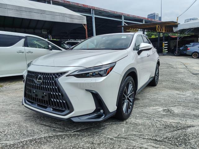 2023 Lexus NX 250 2.5 Version L S/R HUD DIM BSM - 1