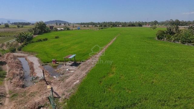 FIRST GRADE FREEHOLD LAND! For Sale 1