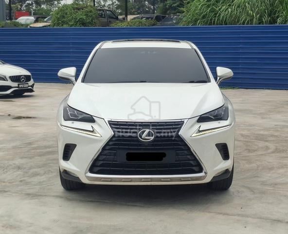 2019 Lexus NX300 2.0 PREMIUM (A) - 1