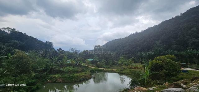 4.36 acres mix fruit farm come with bungalow house at Jelapang, Ipoh 1