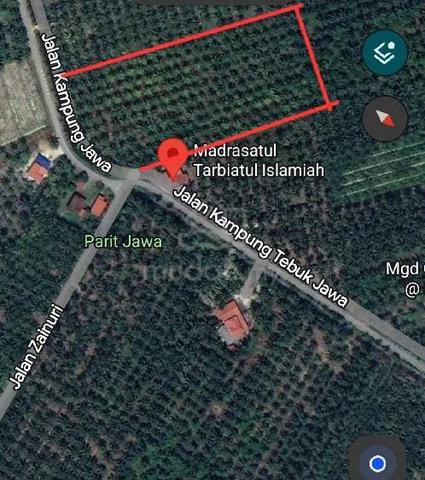 Tanah sawit di Tebuk Jawa (BNO) untuk disewakan 1