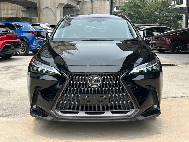 2022 Lexus NX250 2.5 LUXURY (A) - 1
