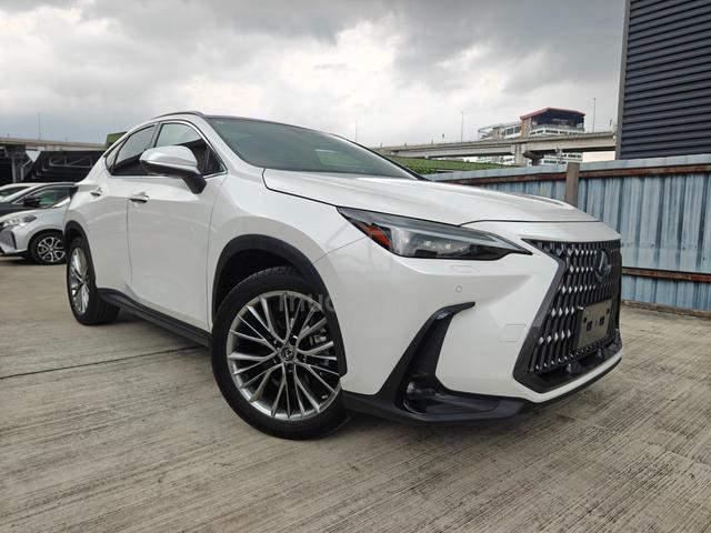 2022 Lexus NX 250 VL P/Roof 4Cam Brown Leather HUD - 1
