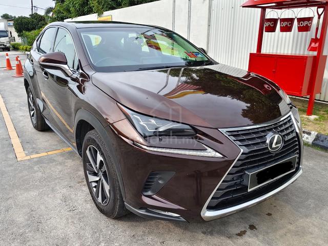 2018 Lexus NX 300 2.0 SUNROOF POWER BOOT - 1