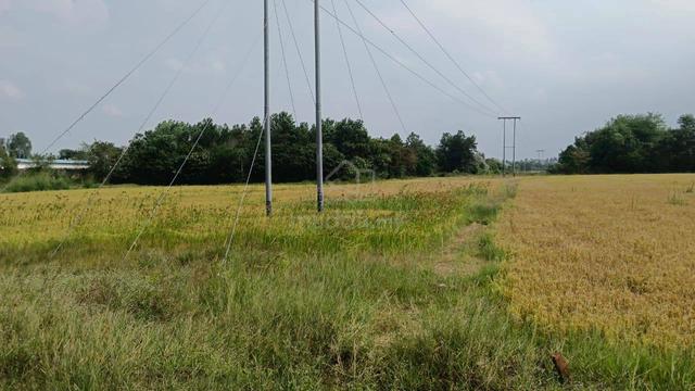 Tanah Padi | Freehold | Jual Seadanya 1