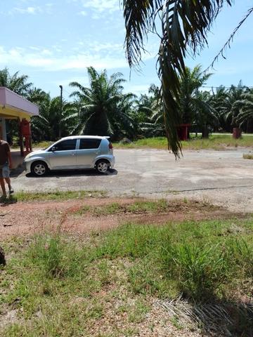 3 Acres/Palm Oil Estate with House/freehold/Port Dickson 1