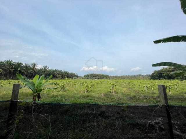 Tanah Pertanian Pasir Panjang Port Dickson 1