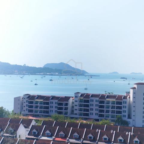 Century Suria 1