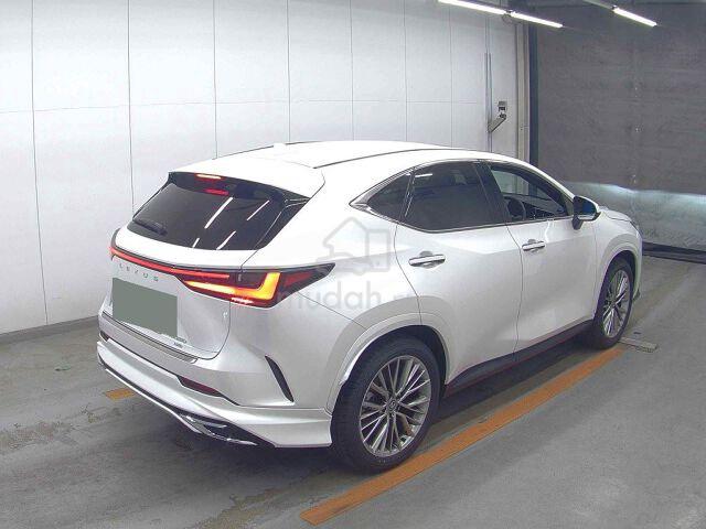 2024 Lexus NX250 Version L - 3