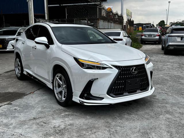 2022 Lexus NX 250 2.5 LUXURY (A) - 1