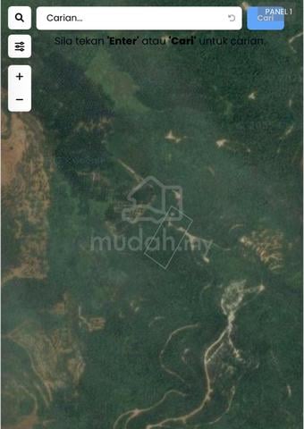 Tanah bukit 3.6 ekar Kg Tanah Merah Pagoh 3