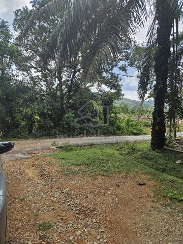 Tanah Rembau kg kundur Mukim Kundor untuk dijual direct owner 1