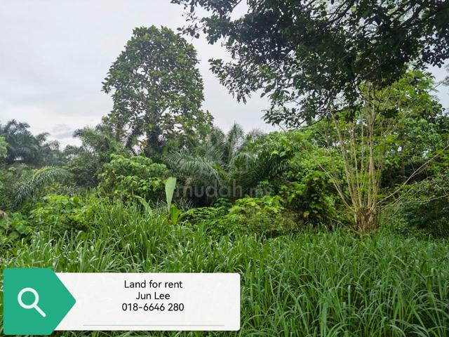 Mantin Agricultural Land For Rent 1