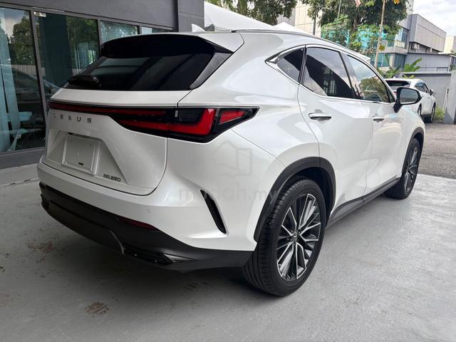 2023 Lexus NX 250 2.5 LUXURY 5A/360CAM - 4
