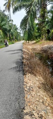 Tanah Kelapa sawit, berdekatan wce, parit 8 1