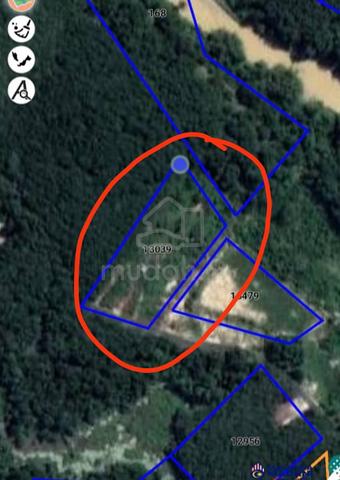 Tanah murah untuk disewa 1