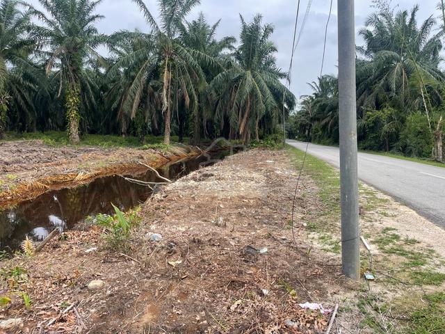 Lot Murah di Jln Parit Baru Kg Bukit Hijau Utk di Jual Jeram Selangor 5