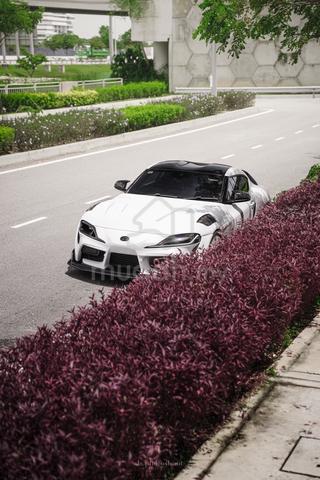 2019 Toyota SUPRA 3.0 RZ (A) - 4