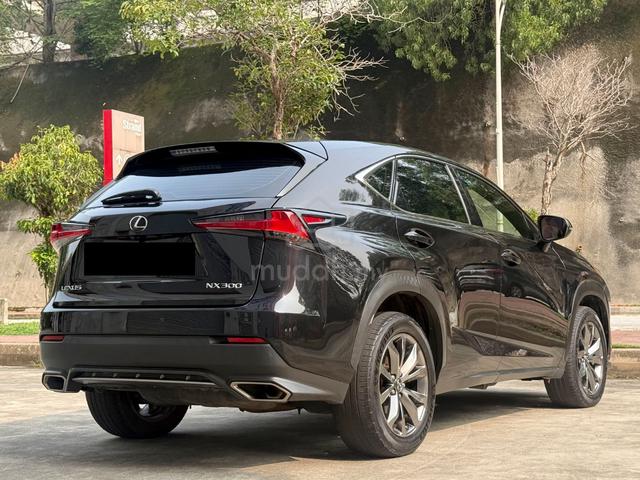 2019 Lexus NX300 2.0 F SPORT (A) - 2