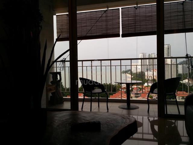 Surin 1