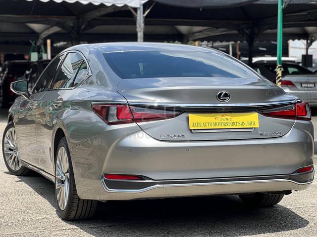 2021 Lexus ES250 LUXURY 2.5L SE (LUXURY CAR OFFER) - 4