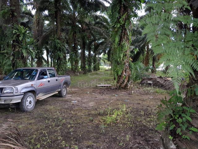Tanah Kuala Kubu Bharu Non Bumi 1