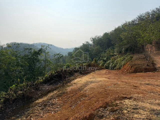 Rubber Plantation Farm Land 988 Acre 1