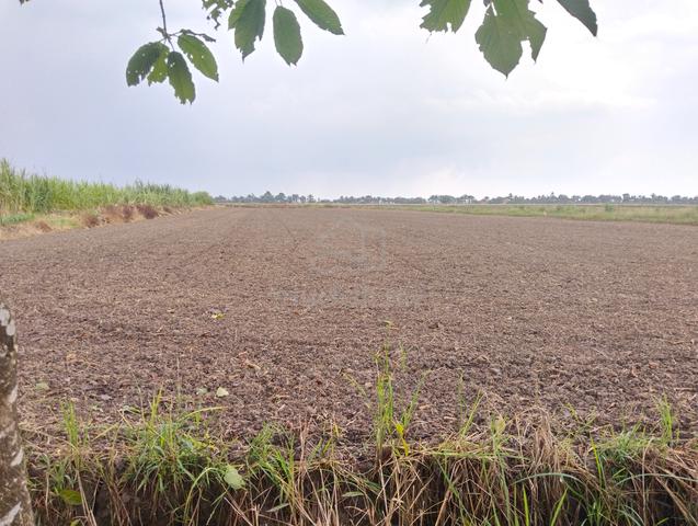Tanah Sawah Sungai Besar 1
